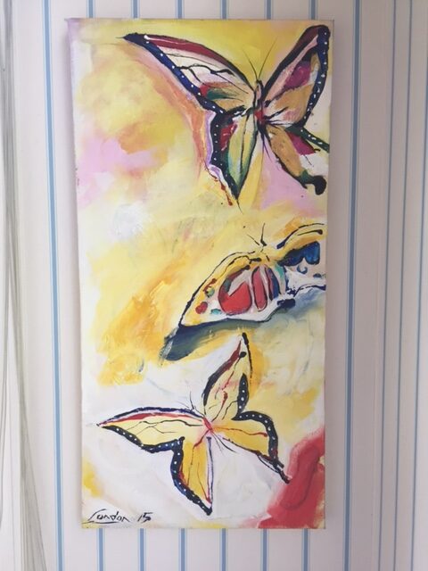 Butterflies Butterflies